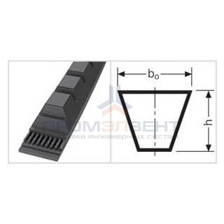 XPB 2280