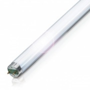 Люминесцентная лампа T8 Philips TL-D 36W/840 SUPER 80 G13, 1200 mm